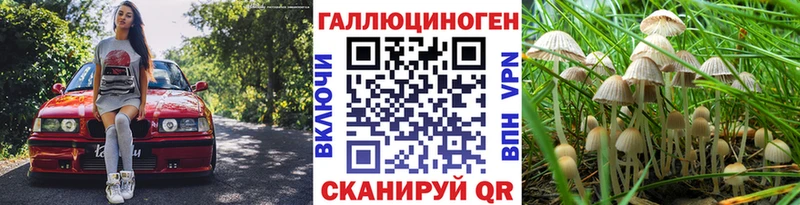 сколько стоит  Ряжск  Галлюциногенные грибы мухоморы 